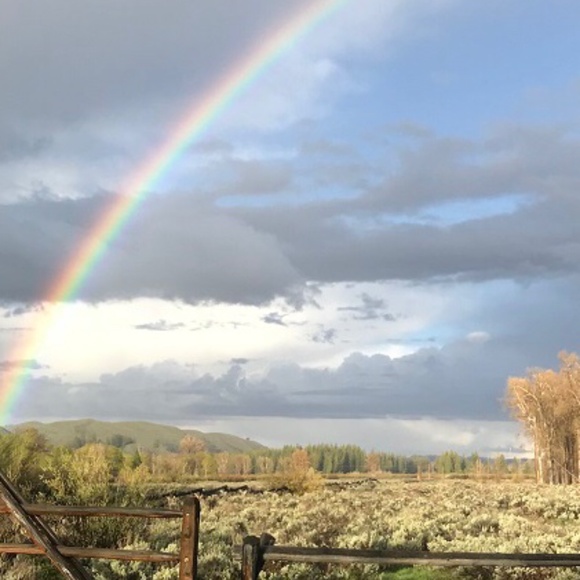 Meet your Posher, Anne - Picture 3 of 3